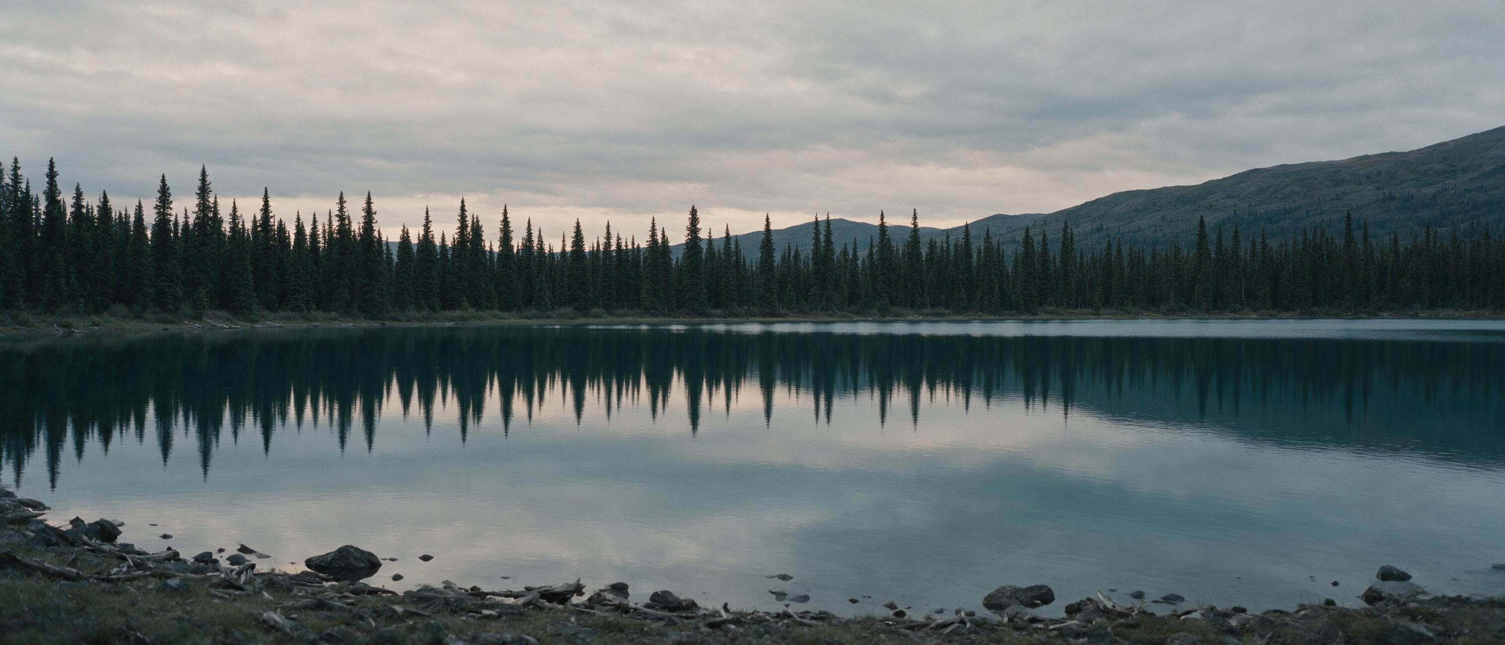 A still Alaska lake at dusk, mirroring a low spruce tree line beneath distant mountains