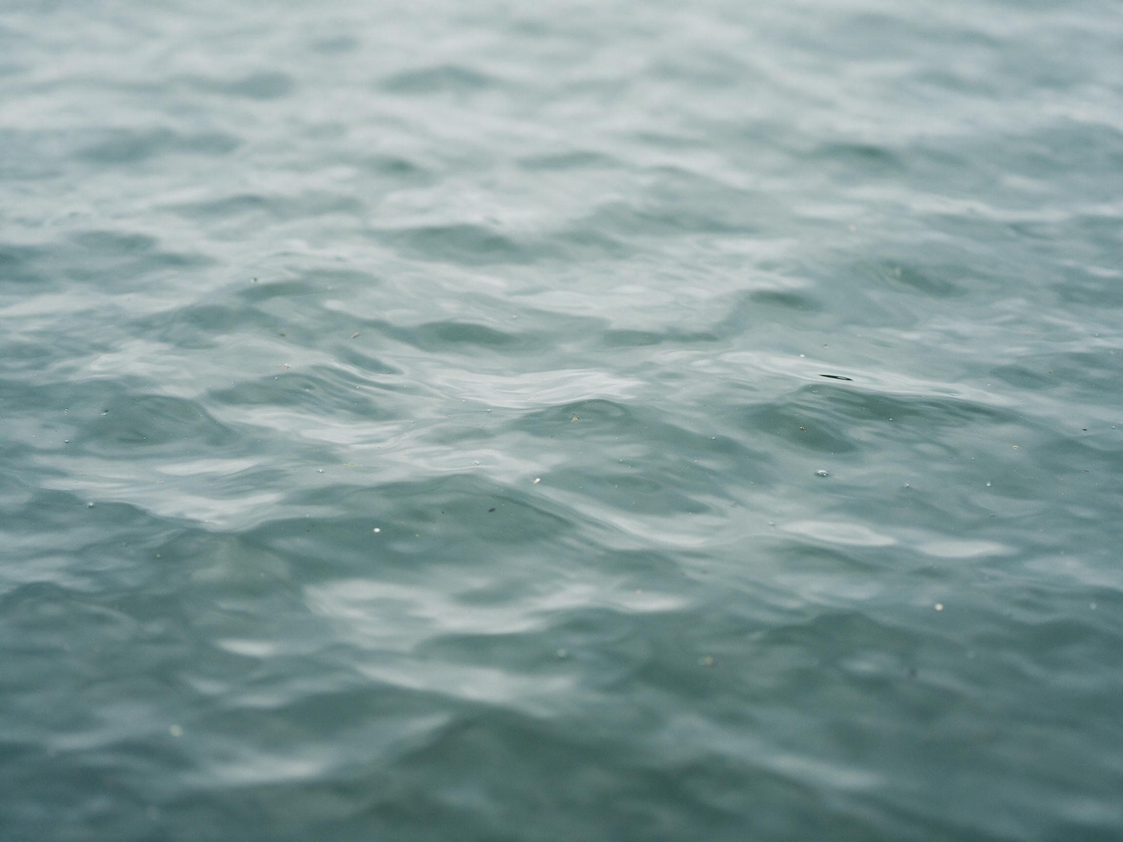 A still water surface with fine ripples, close up